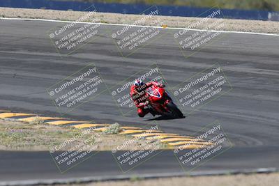 media/Apr-14-2024-SoCal Trackdays (Sun) [[70f97d3d4f]]/5-Bowl Exit (1020am)/